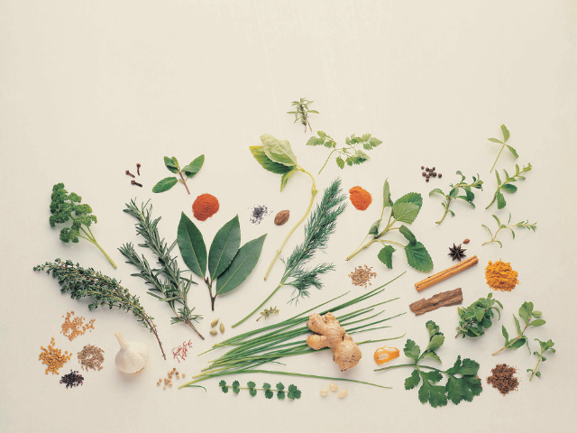 Fresh herbs and spices, including bay leaves, ginger, parsley, and rosemary, spread out on a light background.